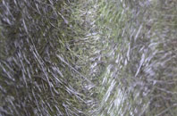 Dun Colbost fibreglass roof work